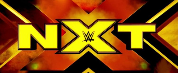 NXT Preview ? March 21, 2021 ? A Mystery Partner!